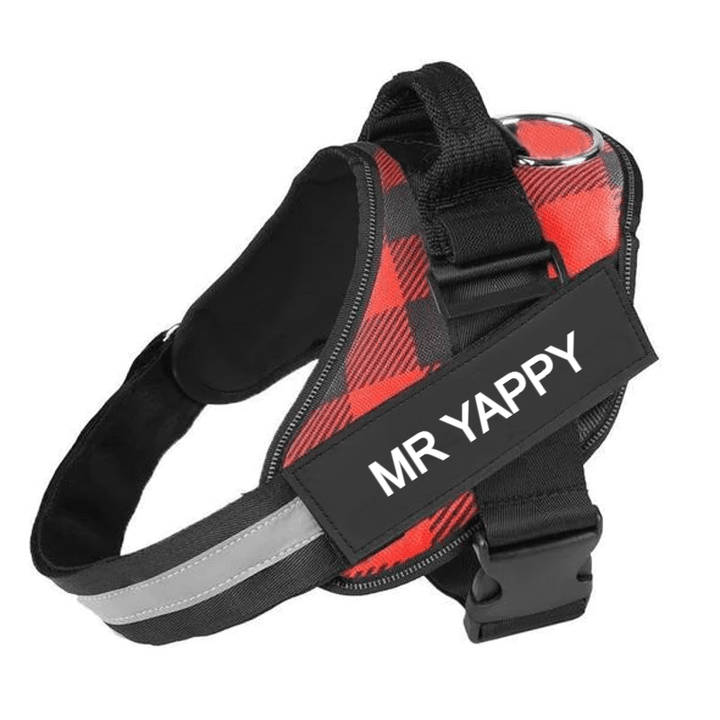Custom No Pull Dog Harness with Name and Phone Number, Heavy Duty Personalized Pet Vest - Pawtique
