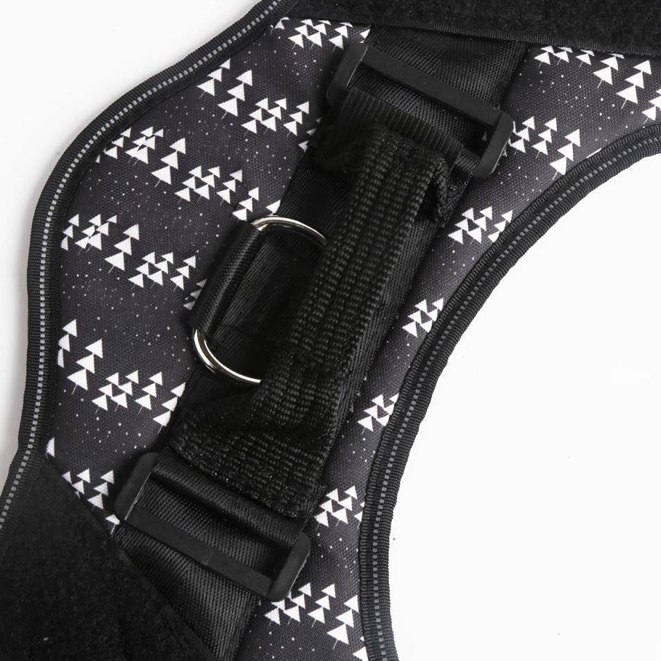 Custom No Pull Dog Harness with Name and Phone Number, Heavy Duty Personalized Pet Vest - Pawtique