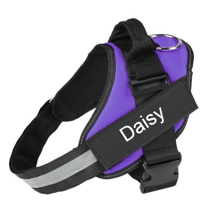 Custom No Pull Dog Harness with Name and Phone Number, Heavy Duty Personalized Pet Vest - Pawtique
