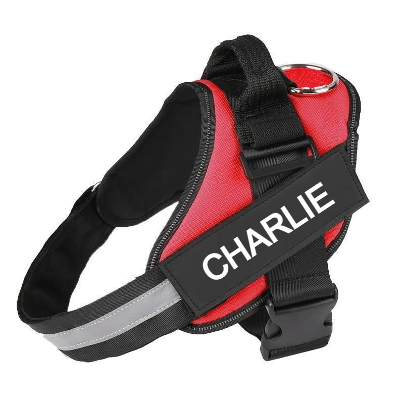 Custom No Pull Dog Harness with Name and Phone Number, Heavy Duty Personalized Pet Vest - Pawtique