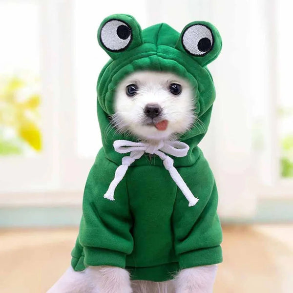 Cute Frog Pet Sweater Puppy Hoodie Pet Clothes Clothes for a Dog Jumper Apparels Dogs Accessories Clothing Dog´s Suit Outfit - Pawtique