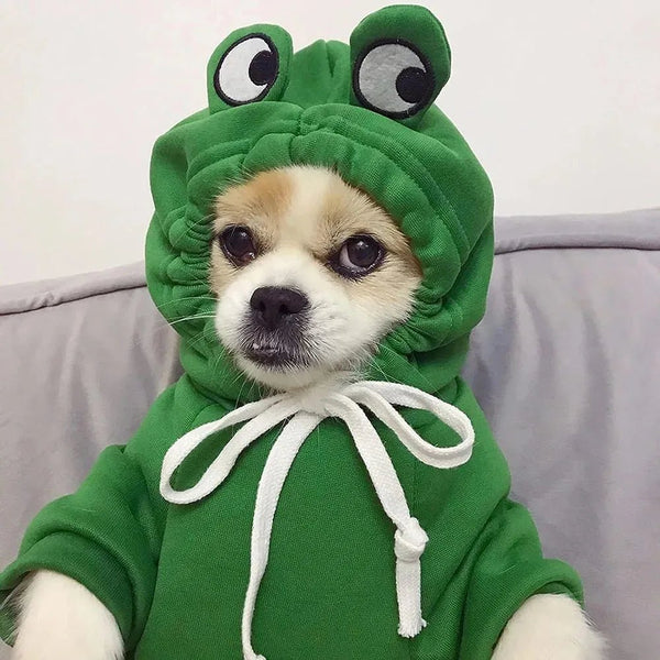 Cute Frog Pet Sweater Puppy Hoodie Pet Clothes Clothes for a Dog Jumper Apparels Dogs Accessories Clothing Dog´s Suit Outfit - Pawtique