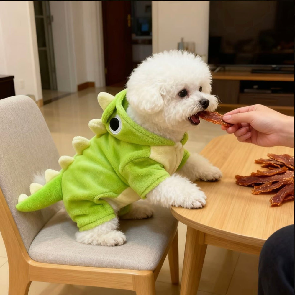 Cute Little Dinosaur Pet Clothes - Pawtique