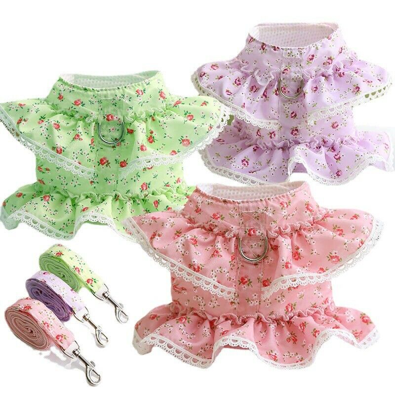 Cute Vest Harness And Leashes - Pawtique