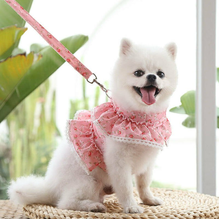 Cute Vest Harness And Leashes - Pawtique