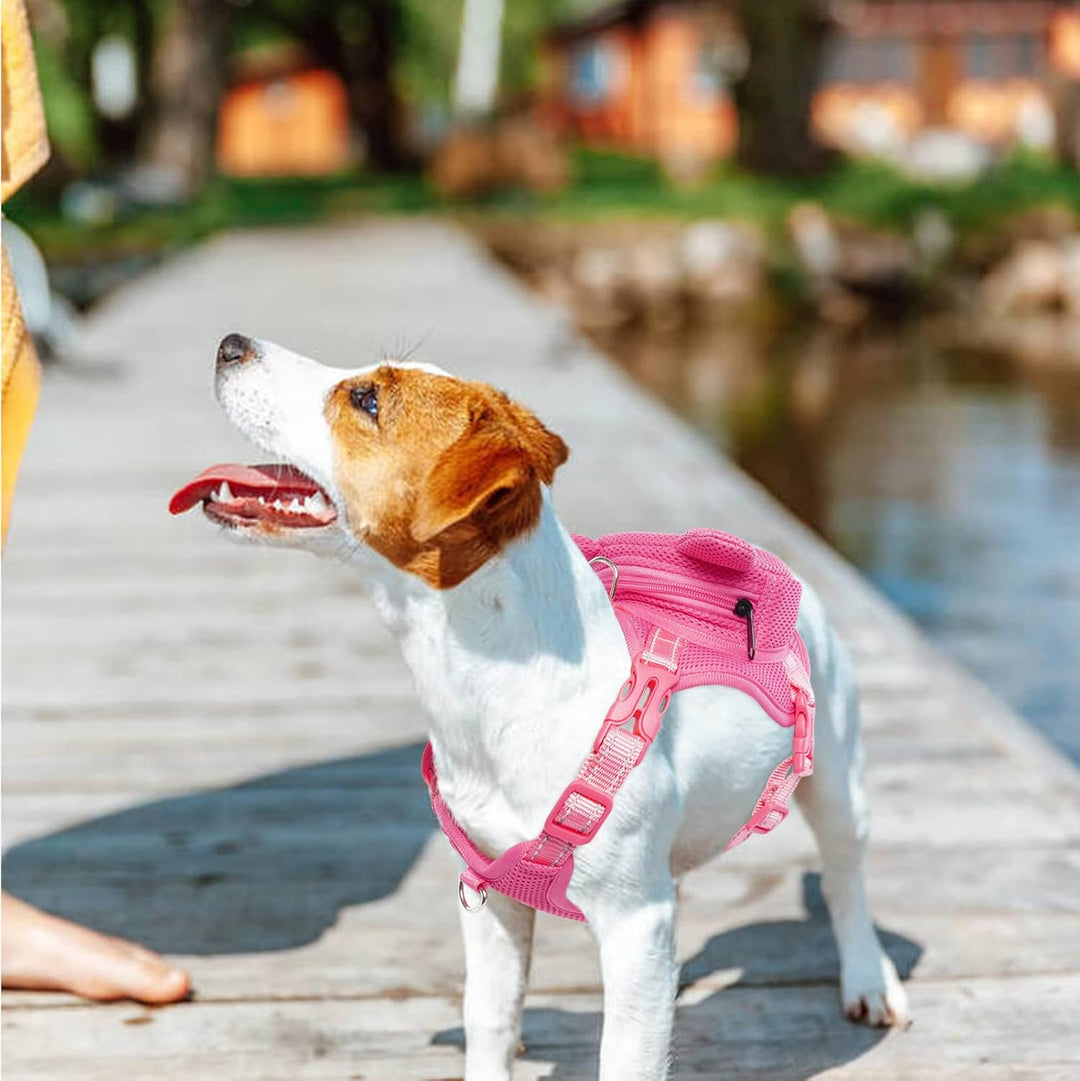 Dog Backpack Harness No - Pull with D - Ring outdoor hiking - Pawtique