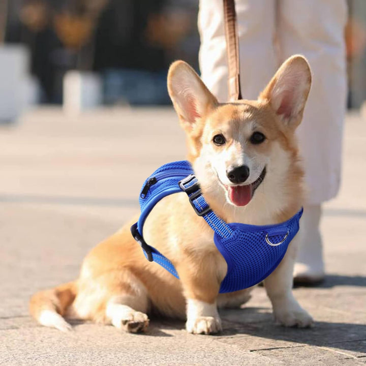 Dog Backpack Harness No - Pull with D - Ring outdoor hiking - Pawtique