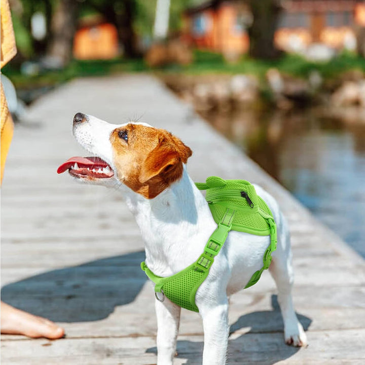 Dog Backpack Harness No - Pull with D - Ring outdoor hiking - Pawtique