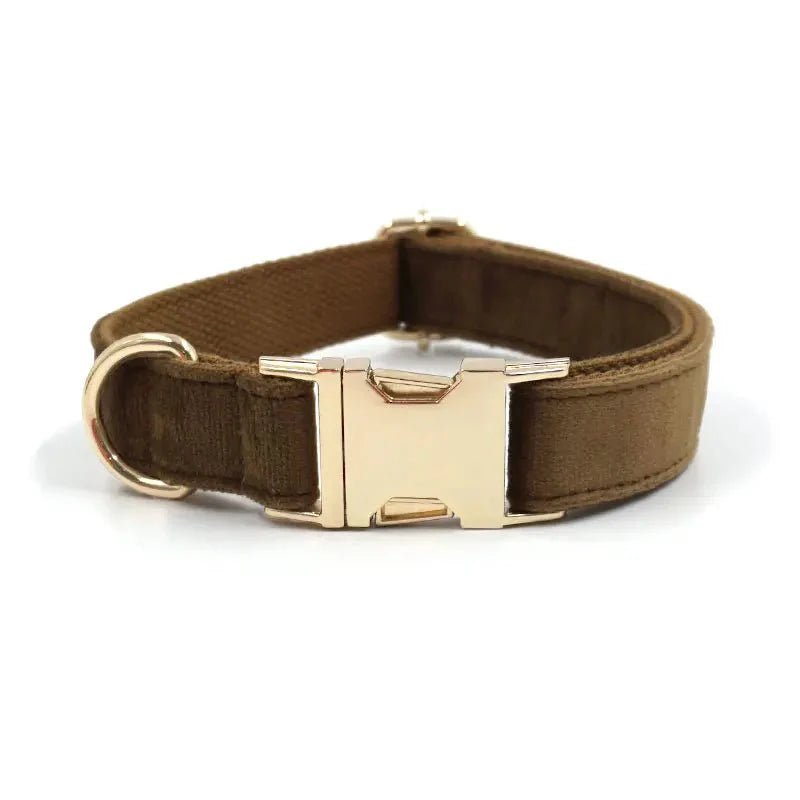 Dog Collar - Including Leash - Pawtique