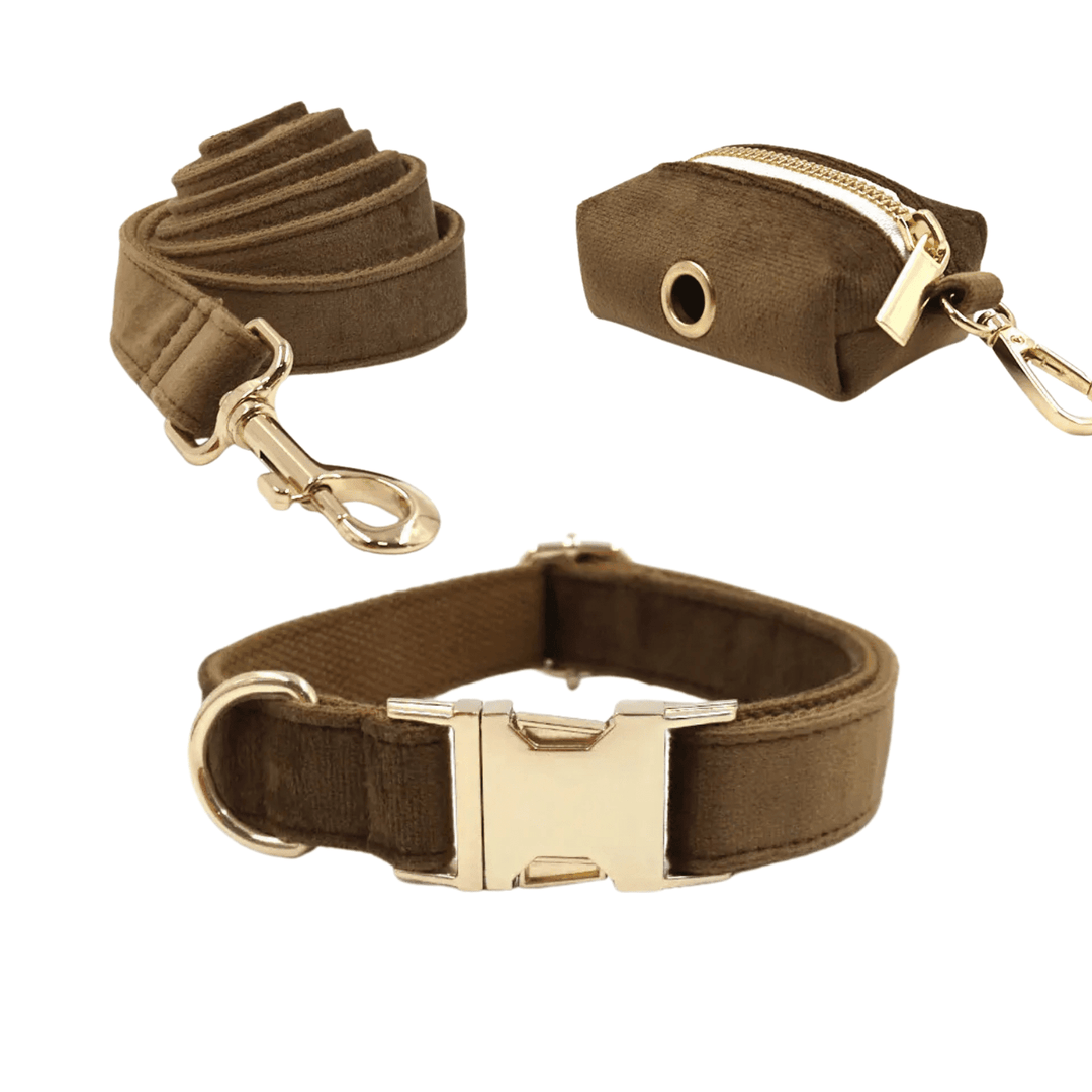 Dog Collar - Including Leash - Pawtique