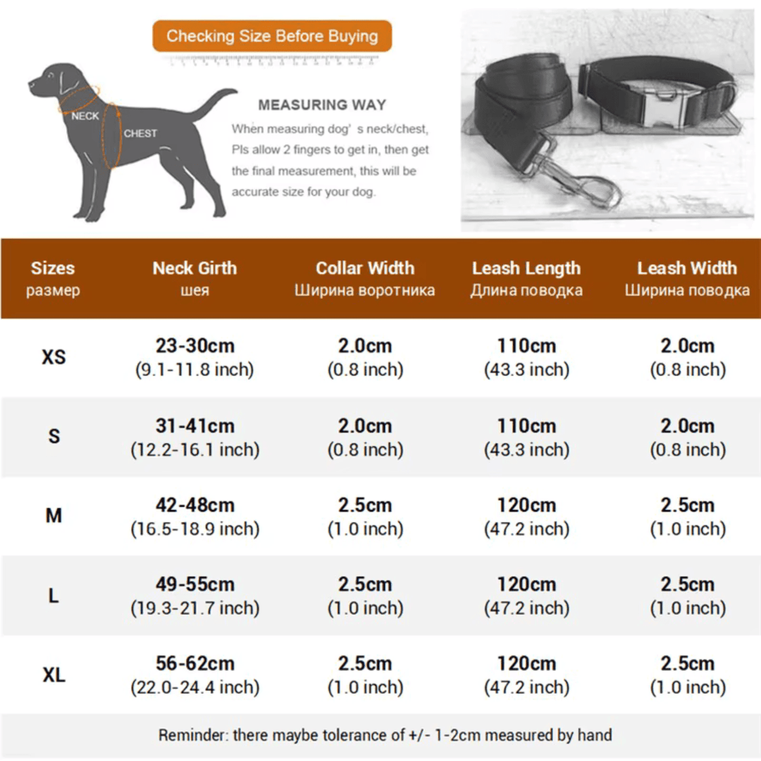 Dog Collar - Including Leash - Pawtique