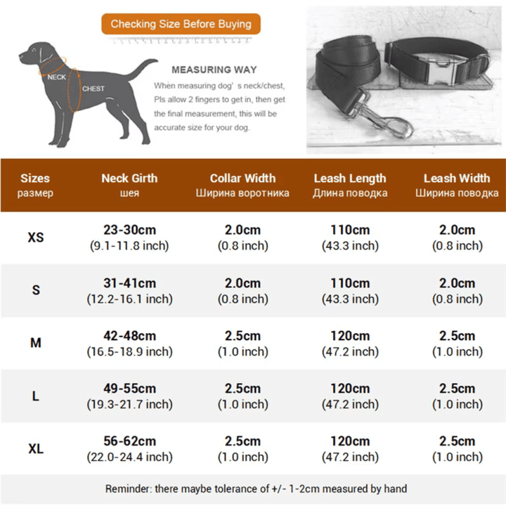 Dog Collar - Including Leash - Pawtique