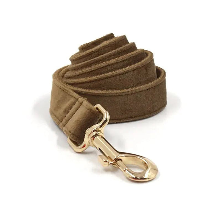 Dog Collar - Including Leash - Pawtique