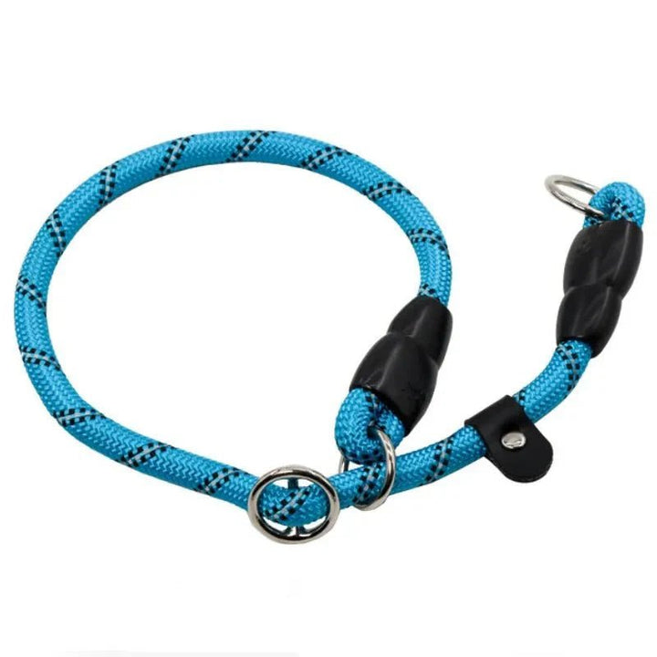 Dog Collar - Slip Leash 50cm - Pawtique