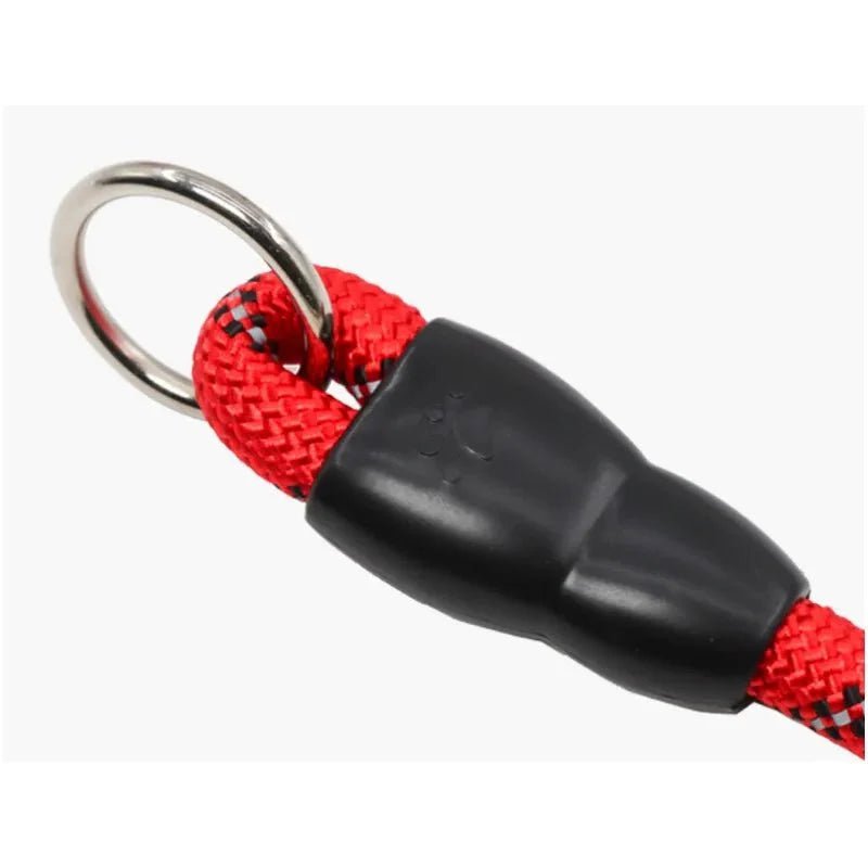 Dog Collar - Slip Leash 50cm - Pawtique