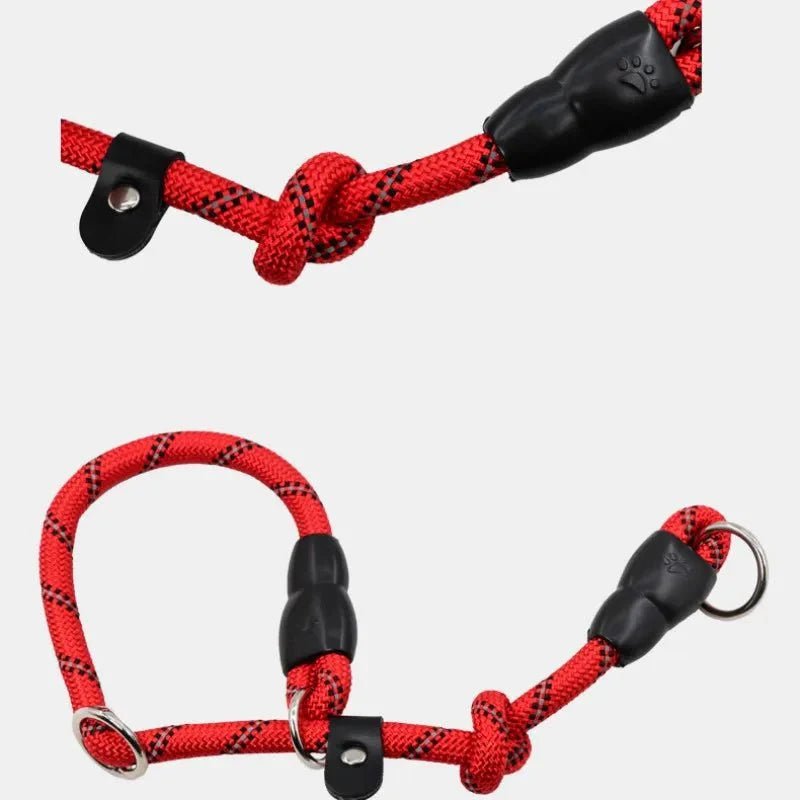 Dog Collar - Slip Leash 50cm - Pawtique