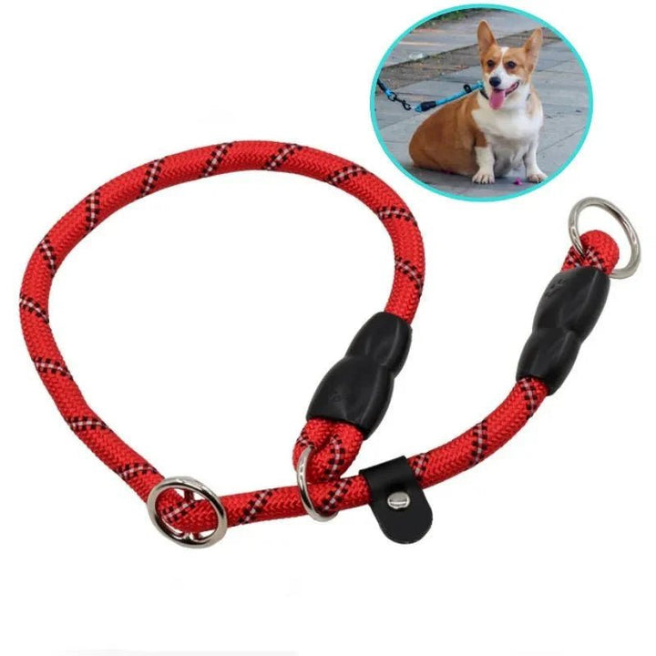 Dog Collar - Slip Leash 50cm - Pawtique