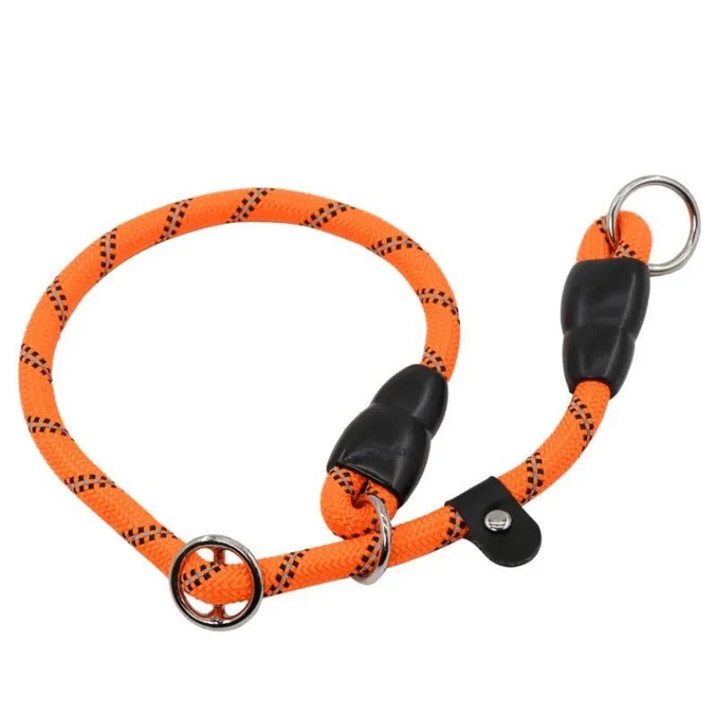 Dog Collar - Slip Leash 50cm - Pawtique