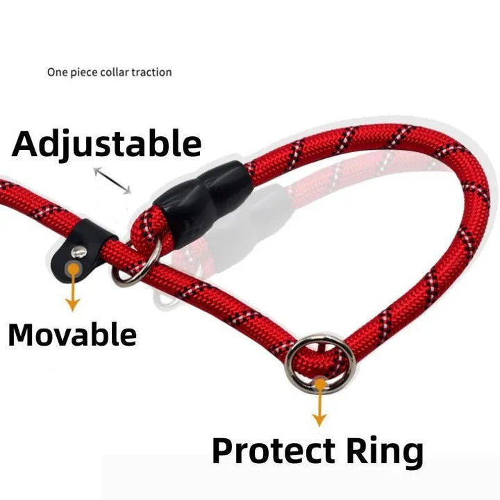 Dog Collar - Slip Leash 50cm - Pawtique