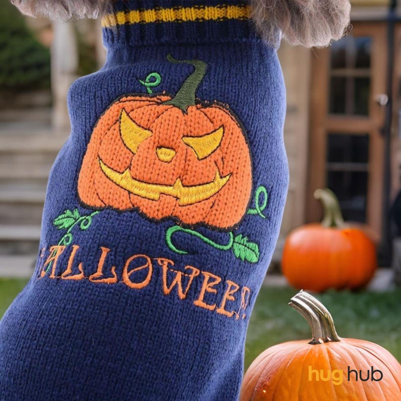 Dog Halloween Costume, Crochet Dog Sweater, Dog Costume for Halloween, Cat Outfit for Halloween, Dog Halloween Dress, Dog Crochet Jumper - Pawtique