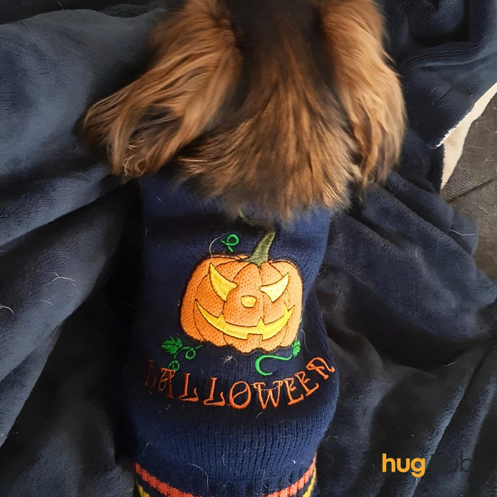 Dog Halloween Costume, Crochet Dog Sweater, Dog Costume for Halloween, Cat Outfit for Halloween, Dog Halloween Dress, Dog Crochet Jumper - Pawtique