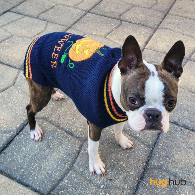 Dog Halloween Costume, Crochet Dog Sweater, Dog Costume for Halloween, Cat Outfit for Halloween, Dog Halloween Dress, Dog Crochet Jumper - Pawtique