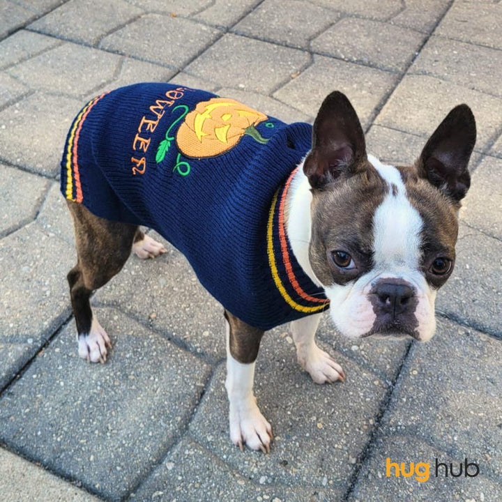 Dog Halloween Costume, Crochet Dog Sweater, Dog Costume for Halloween, Cat Outfit for Halloween, Dog Halloween Dress, Dog Crochet Jumper - Pawtique