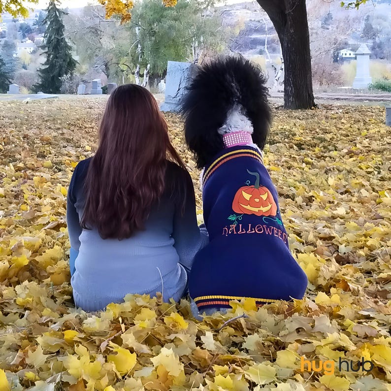 Dog Halloween Costume, Crochet Dog Sweater, Dog Costume for Halloween, Cat Outfit for Halloween, Dog Halloween Dress, Dog Crochet Jumper - Pawtique