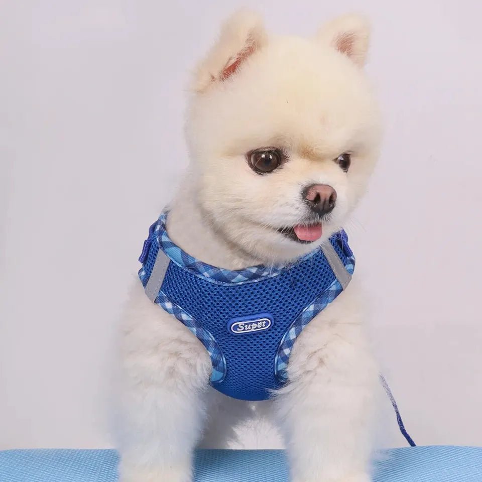 Dog Harness Anti - Pull Adjustable Easy to Control - Pawtique