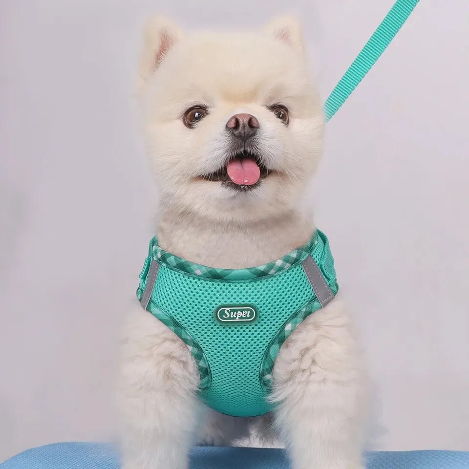 Dog Harness Anti - Pull Adjustable Easy to Control - Pawtique