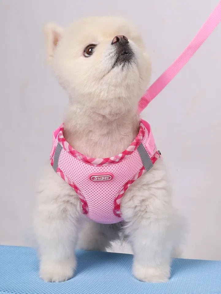Dog Harness Anti - Pull Adjustable Easy to Control - Pawtique