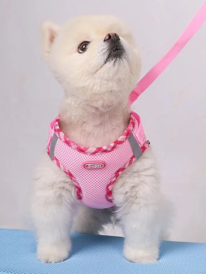 Dog Harness Anti - Pull Adjustable Easy to Control - Pawtique