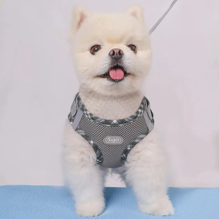 Dog Harness Anti - Pull Adjustable Easy to Control - Pawtique