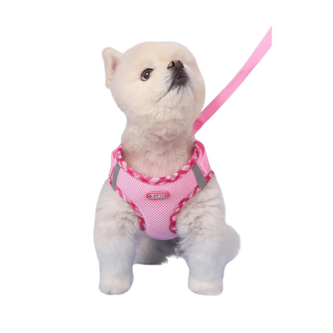 Dog Harness Anti - Pull Adjustable Easy to Control - Pawtique