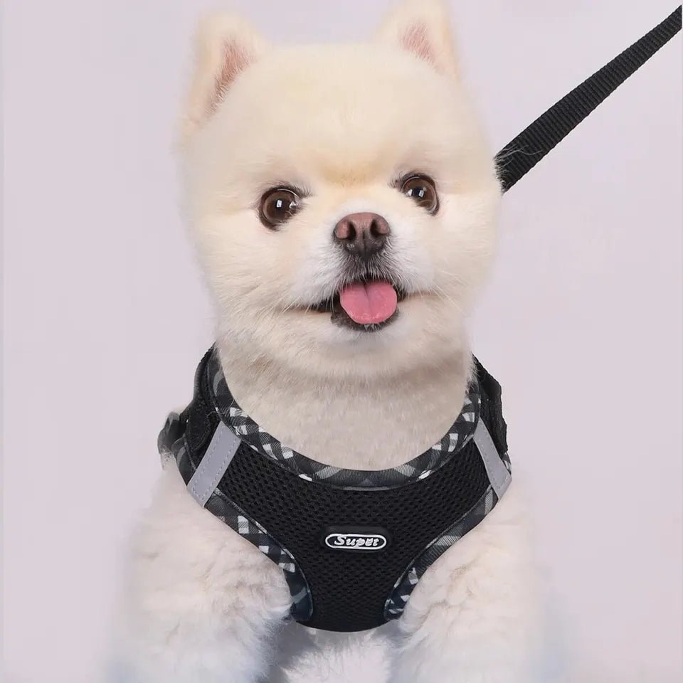 Dog Harness Anti - Pull Adjustable Easy to Control - Pawtique