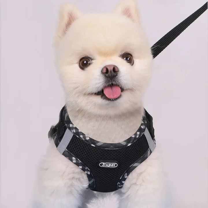 Dog Harness Anti - Pull Adjustable Easy to Control - Pawtique
