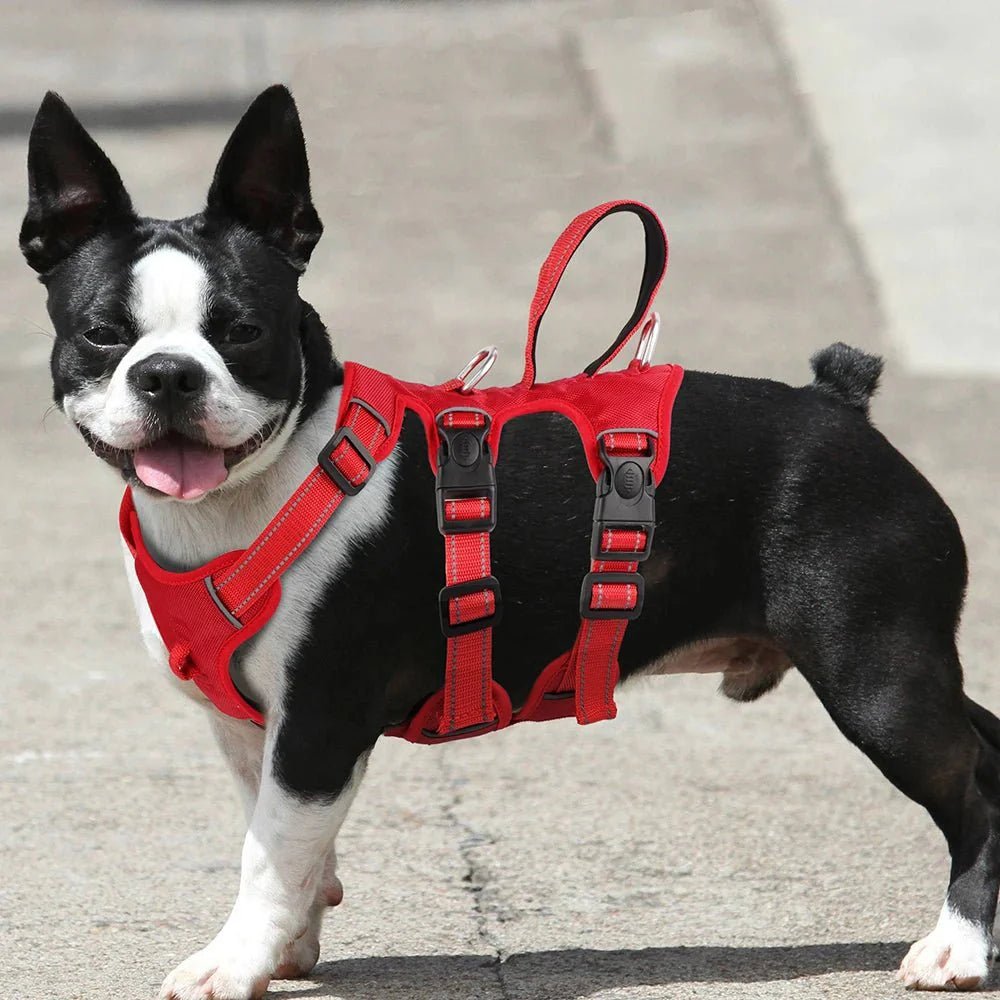 Dog Harness - Extra Sturdy - Pawtique