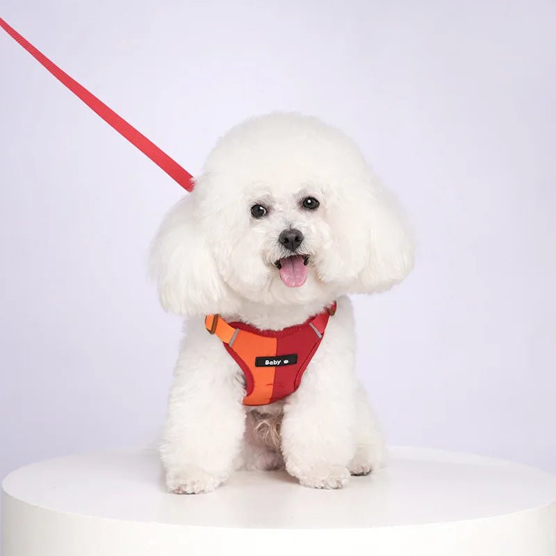 Dog Harness Leash Set Reflective Adjustable - Pawtique