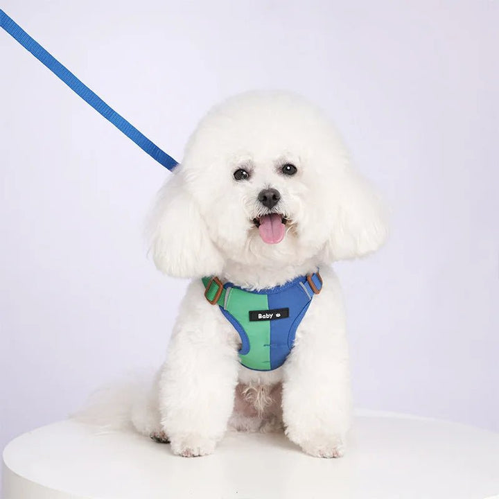 Dog Harness Leash Set Reflective Adjustable - Pawtique