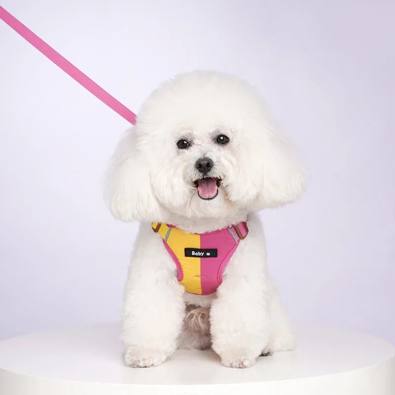 Dog Harness Leash Set Reflective Adjustable - Pawtique
