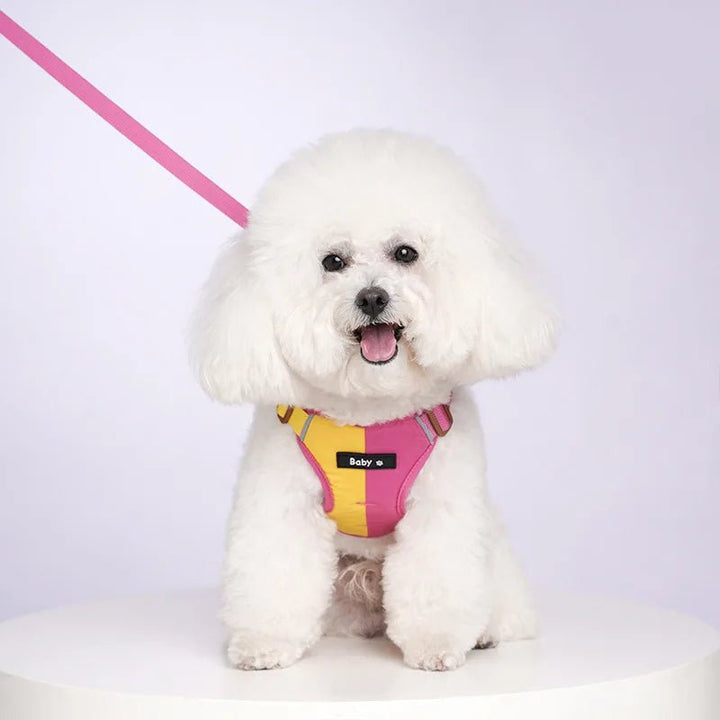 Dog Harness Leash Set Reflective Adjustable - Pawtique
