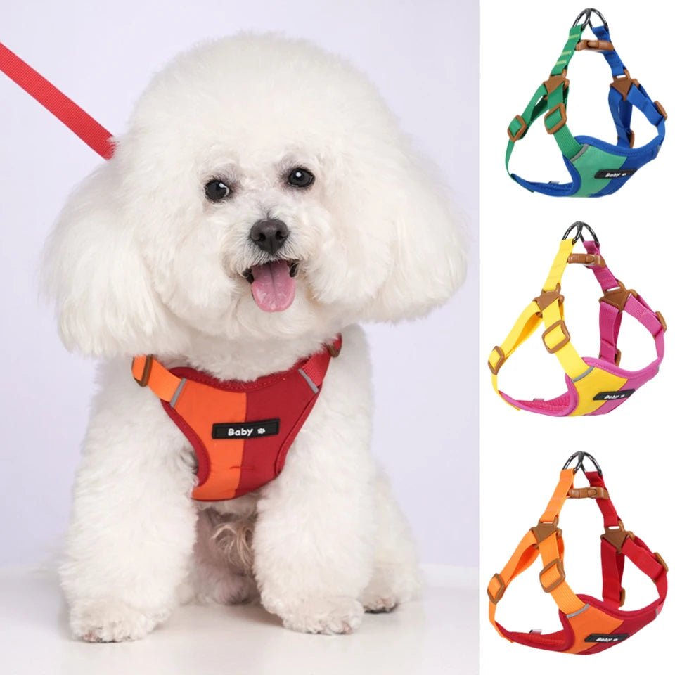 Dog Harness Leash Set Reflective Adjustable - Pawtique
