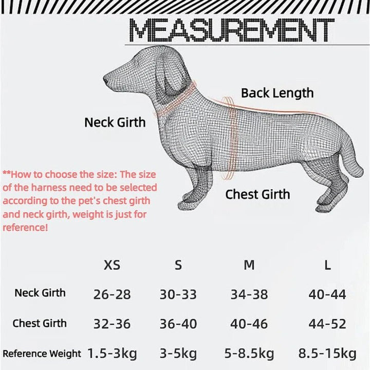 Dog Harness Leash Set Reflective Adjustable - Pawtique