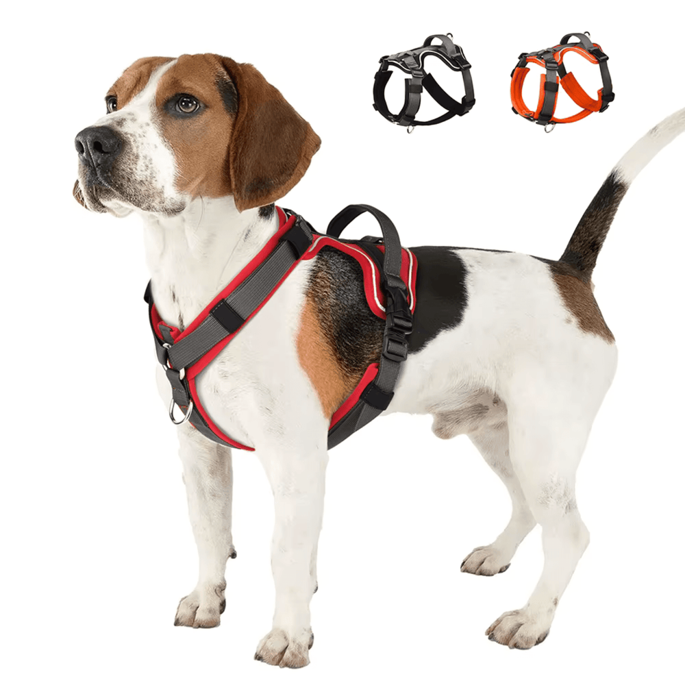 Dog Harness - Reflection and Handle - Pawtique