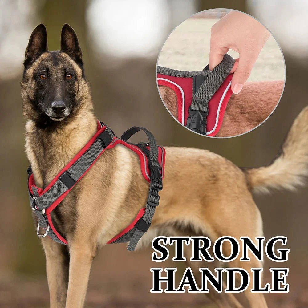 Dog Harness - Reflection and Handle - Pawtique