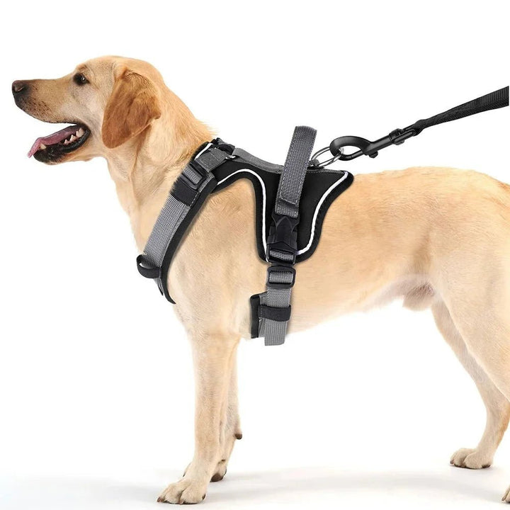 Dog Harness - Reflection and Handle - Pawtique
