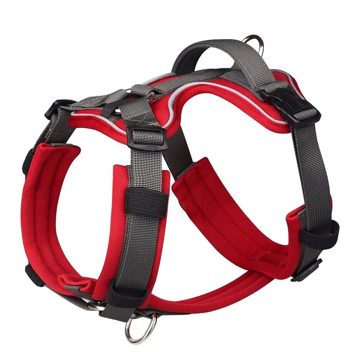 Dog Harness - Reflection and Handle - Pawtique