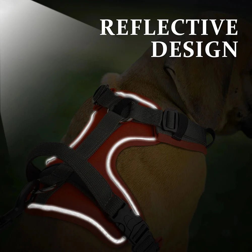 Dog Harness - Reflection and Handle - Pawtique