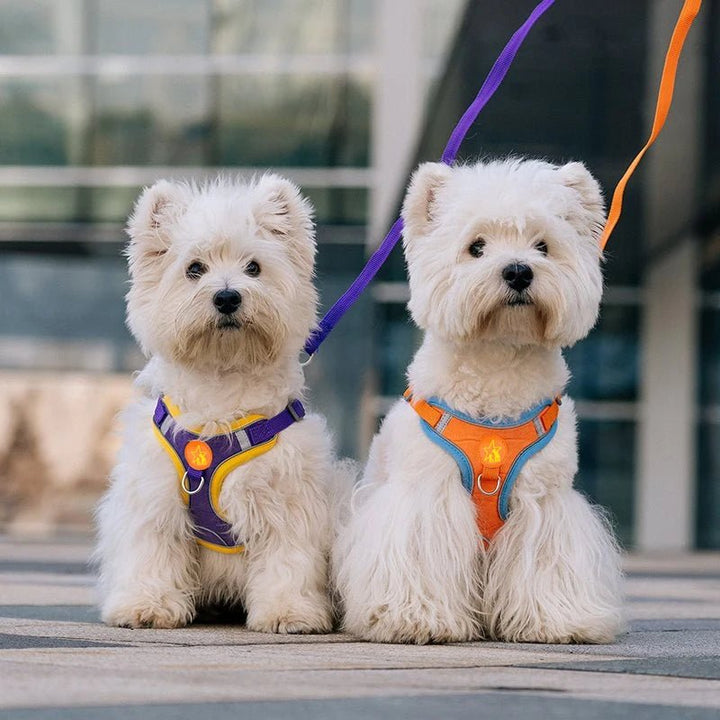 Dogs Harness Vest Walking Traction Rope Reflective Straps Soft Mesh - Pawtique