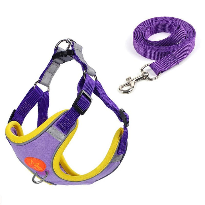 Dogs Harness Vest Walking Traction Rope Reflective Straps Soft Mesh - Pawtique
